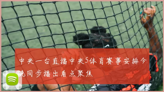 中央一台直播中央5体育赛事安排今晚同步播出看点聚焦