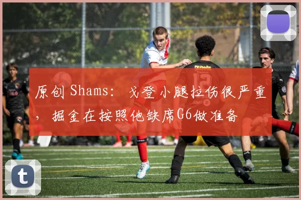 原创 Shams：戈登小腿拉伤很严重，掘金在按照他缺席G6做准备