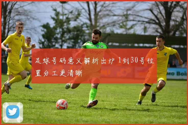 足球号码意义解析出炉 1到30号位置分工更清晰