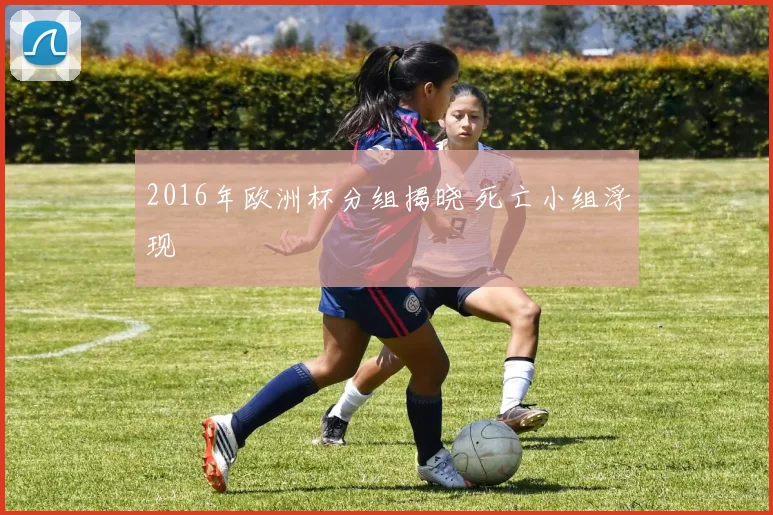2016年欧洲杯分组揭晓 死亡小组浮现