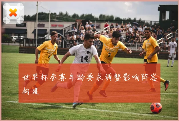 世界杯参赛年龄要求调整影响阵容构建